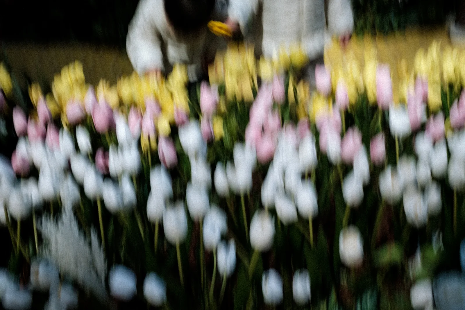Works 29 — 東京 — 2026
