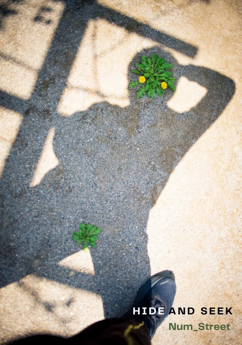舗道に長く伸びた人物の影と、影に重なる植え込みの緑を写した表紙